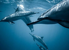 星空体育：与星空同速跃动的运动新纪元